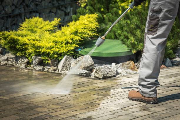 Best Driveway Cleaning and Restoration in Vermilion, OH